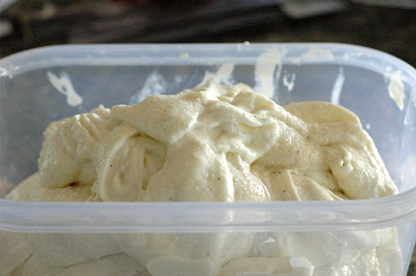 Queen Make at Home Vanilla Gelato