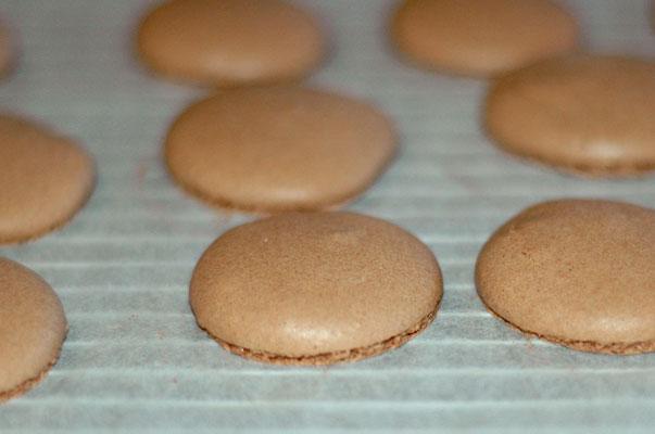 chocolate macaron shells