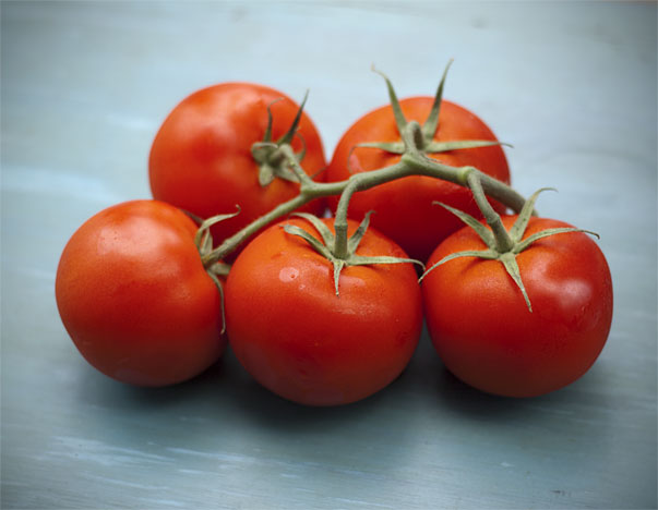 tomatoes