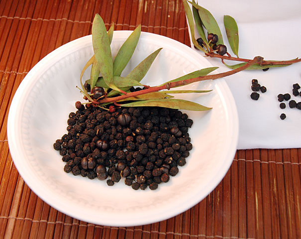 native Australian pepperberries