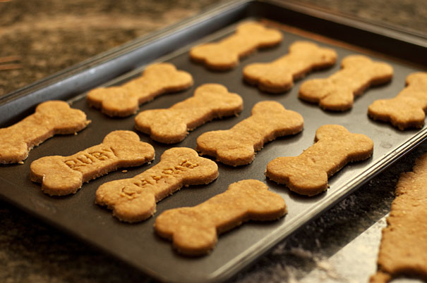 homemade dog biscuits