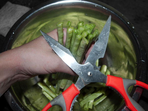 Yard Long Beans