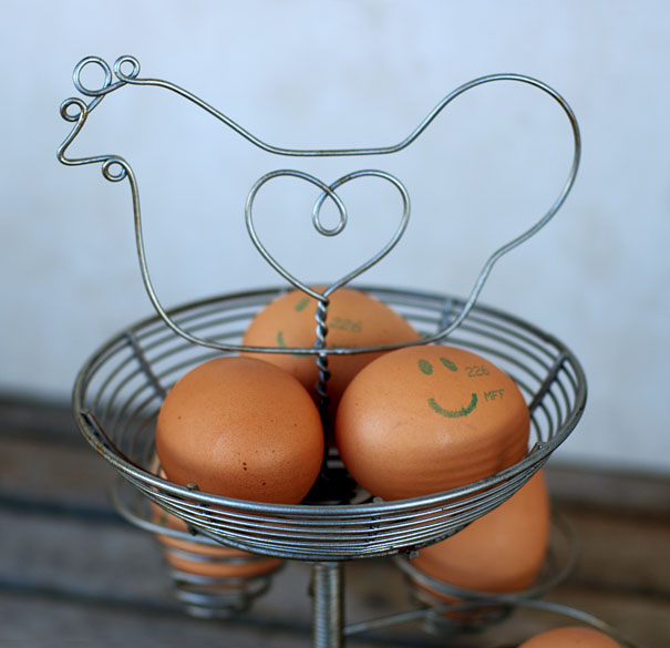 Egg Basket