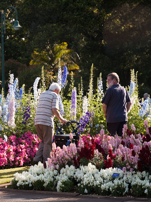 Carnival of Flowers