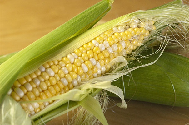 corn