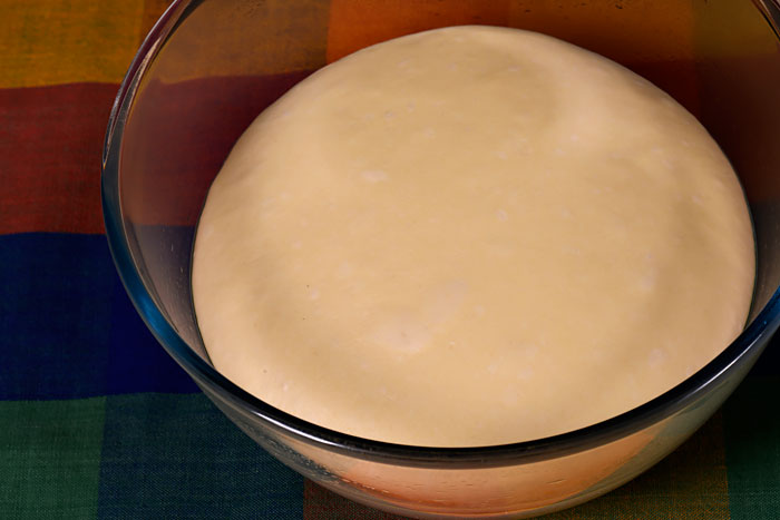 sourdough first rise