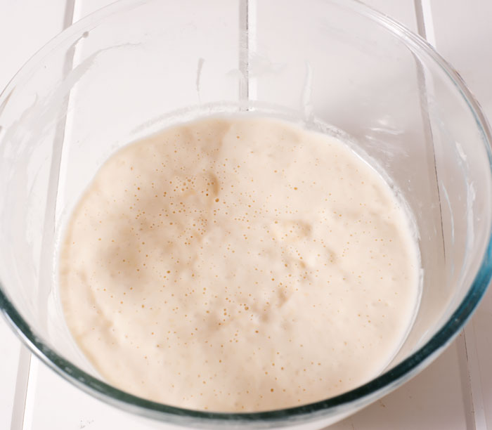 Sourdough starter