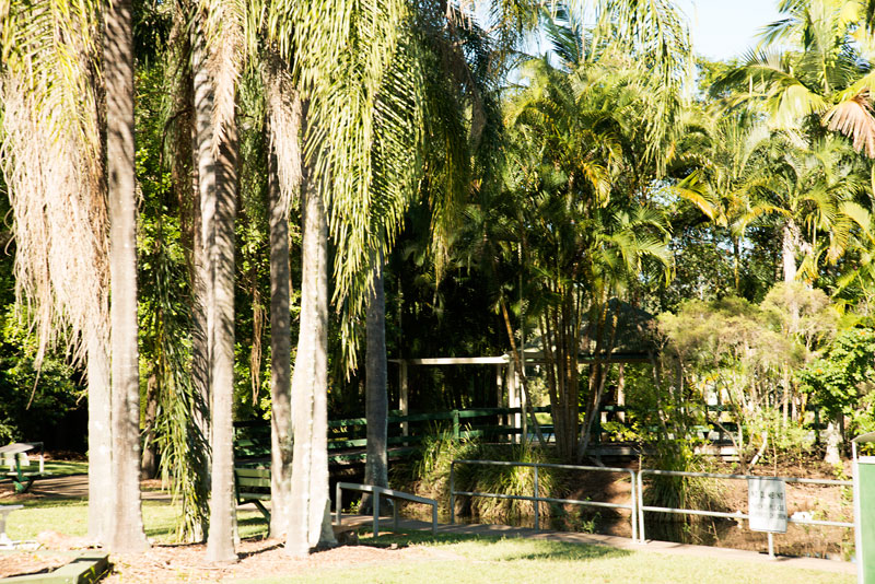 Park at Palmwoods