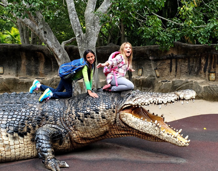 Playing at Australia Zoo