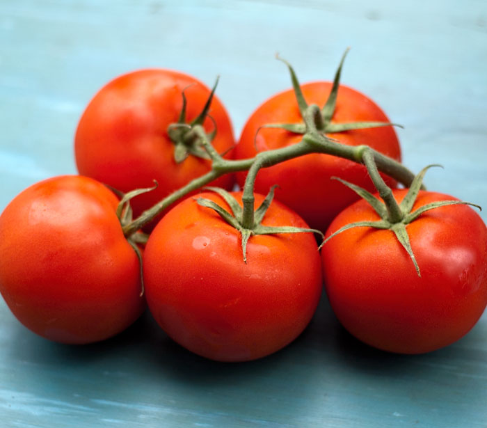 Tomatoes on the vine