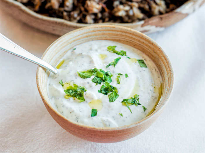 Yogurt Sauce